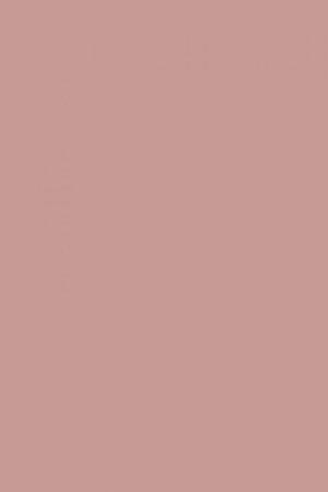 FARROW AND BALL CINDER ROSE NO. 246 PAINT